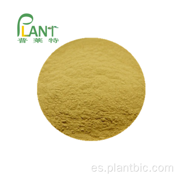 Suministro de fábrica Pure Planta Natural Extractos de Marigold Extracto Tagetes ErcTA Extracto